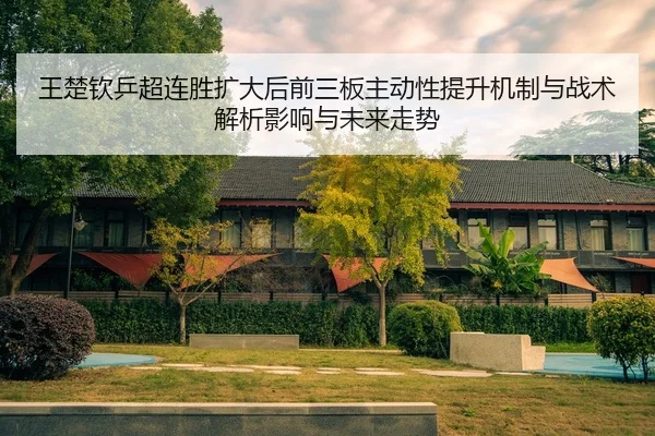 王楚钦乒超连胜扩大后前三板主动性提升机制与战术解析影响与未来走势