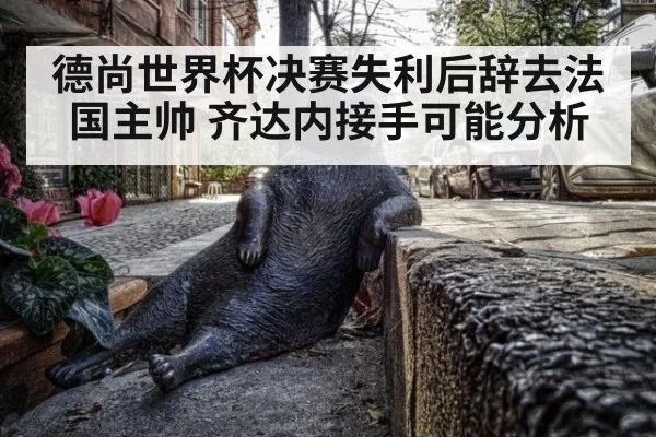 德尚世界杯决赛失利后辞去法国主帅 齐达内接手可能分析
